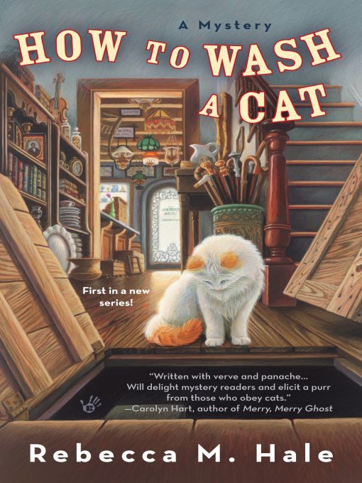 Title details for How to Wash a Cat by Rebecca M. Hale - Available